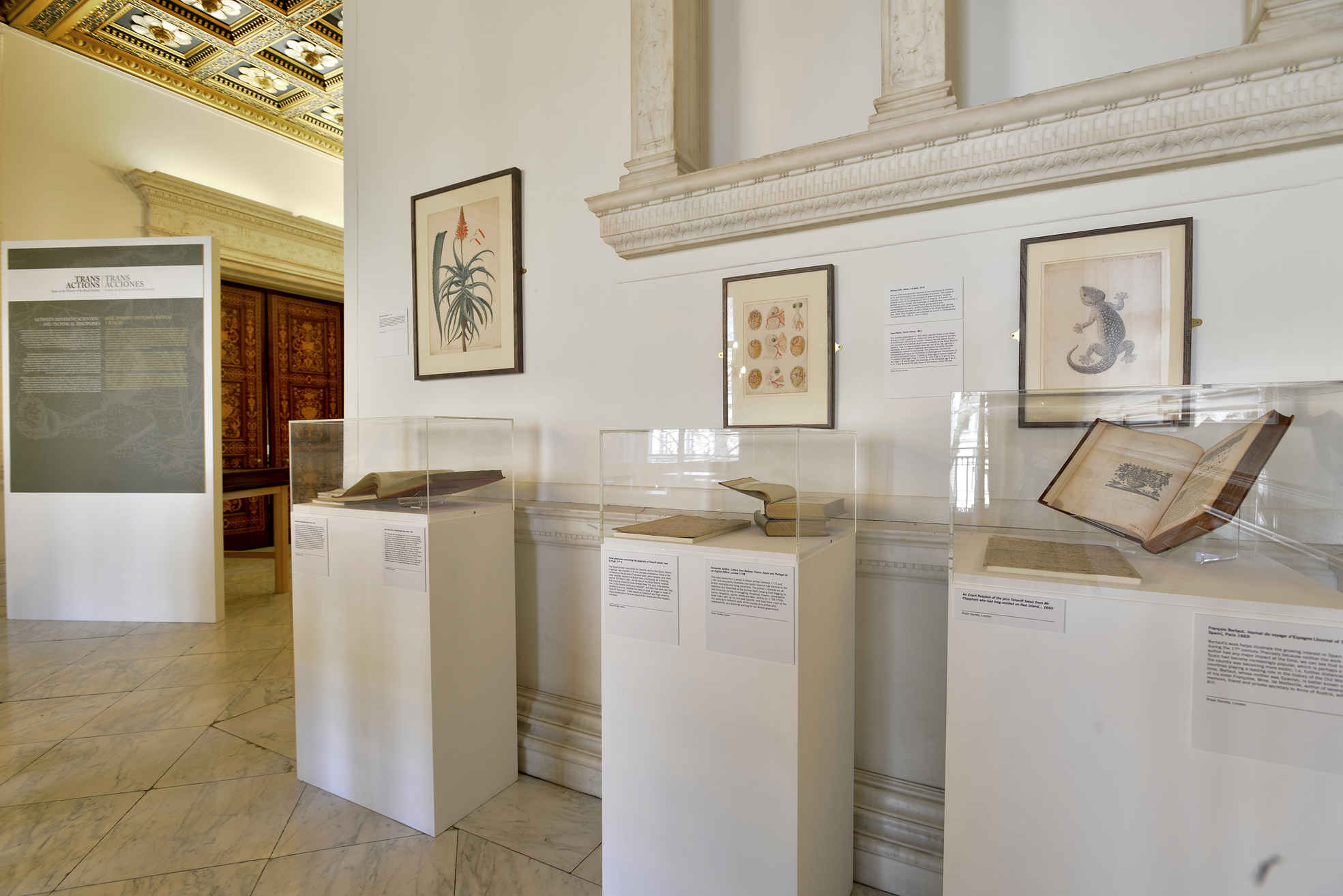 Exposición “Transacciones. España en la historia de la Royal Society”
