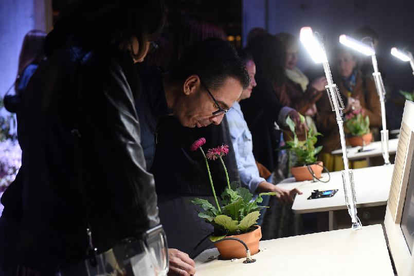 Inauguración de “LaFPAbrica. Fábrica en Premios”: Instalación “Jardín Sensorial”