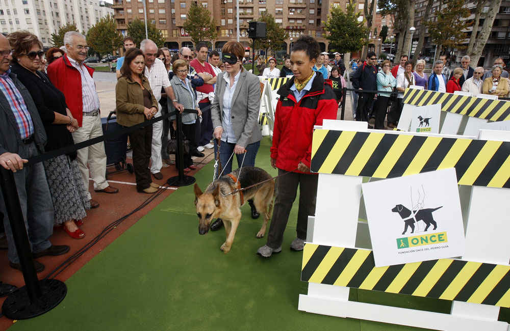 Spanish Organisation for the Blind (ONCE), exhibition and activities in Avilés