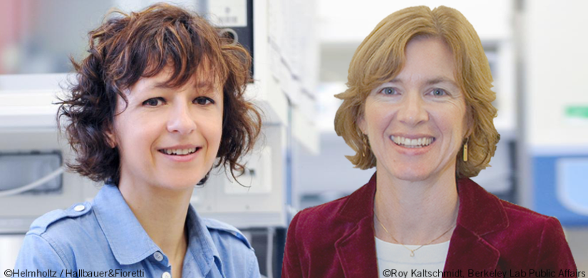 Emmanuelle Charpentier And Jennifer Doudna Princess Of Asturias Award For Technical And Scientific Research Press The Princess Of Asturias Foundation