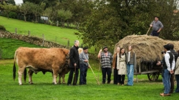 Treinta candidaturas optan al Premio al Pueblo Ejemplar de Asturias 2026